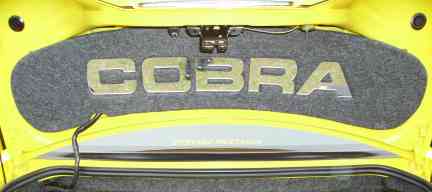 Click On Picture to Enlarge . 1994-1998 Ford Mustang Cobra. Sunk Plexi Mirror "COBRA" Letters.